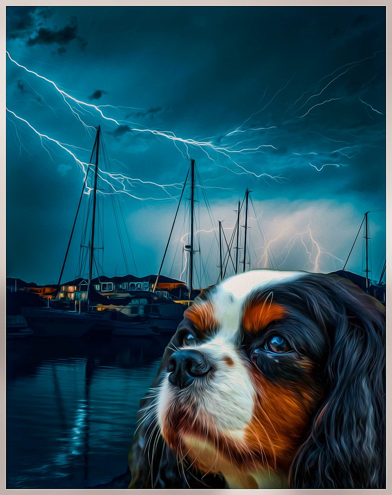 WDCmetaverse's tweet photo. 9 free #NFTs are left for the giveaway.
To Win the giveaway
1. Retweet, like and tag 3 friends
2.Follow @WDCmetaverse 
3. Drop your #ETH address below and go to @opensea and search Wandering Doge Club.

#NFT #NFTGiveaway #NFTCommunity #NFTGiveaways #nftcollector #NFTcollection https://t.co/2hk83I9YIt