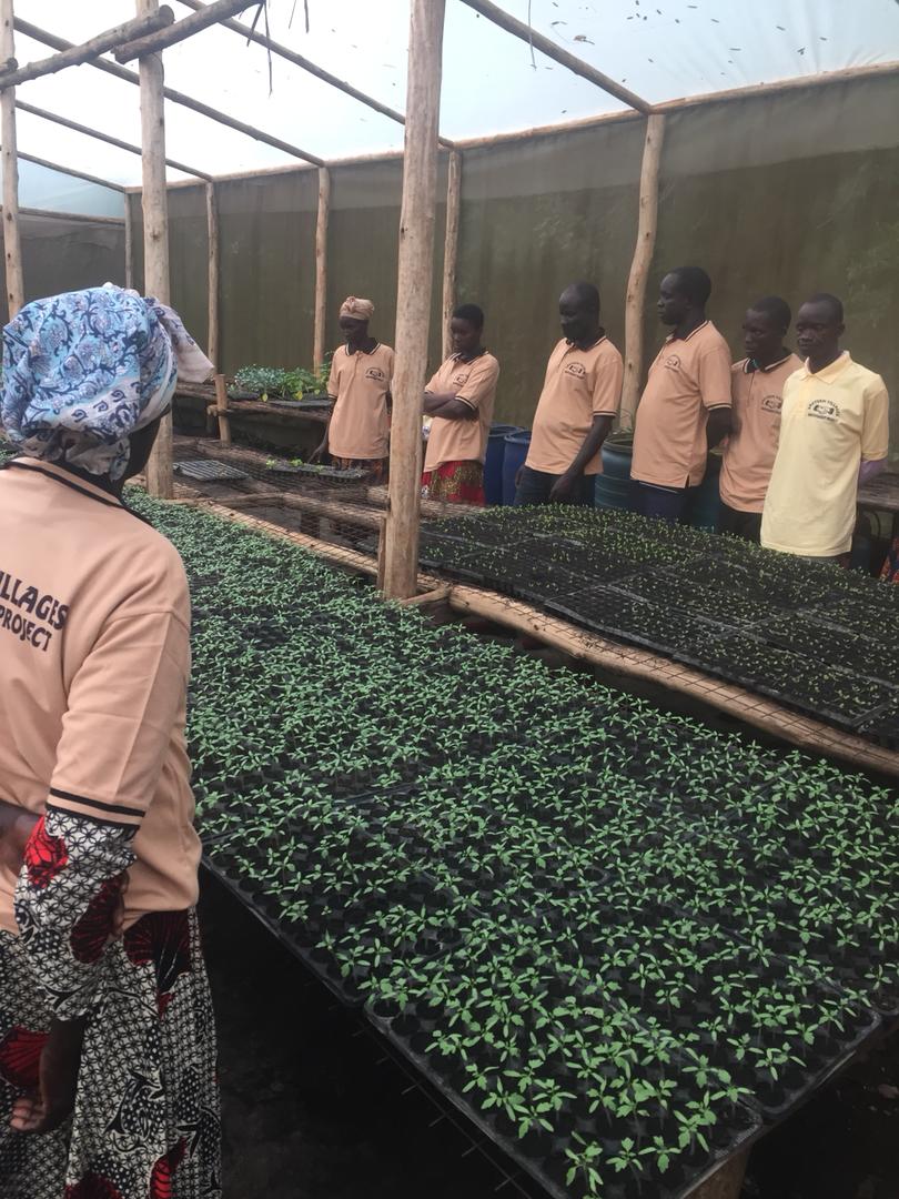 CashChains's tweet photo. Eastern villages empowerment project....we got thousands miles to go to  change our people mind set go commercial in Agriculture for the better of our country #EVEP https://t.co/GIqI8IMRdI