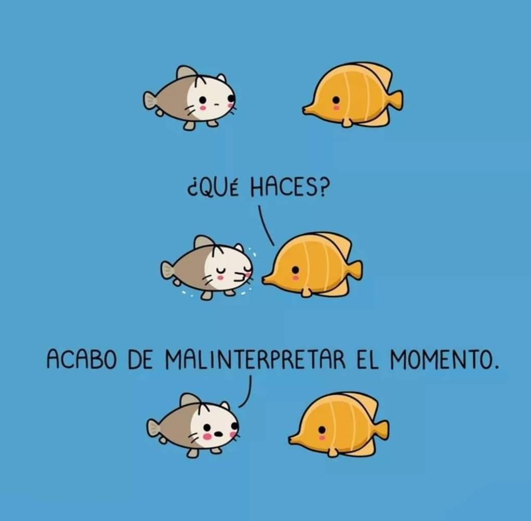 HarLe_o3o's tweet photo. #xD #lol #momentoincomodo #absurder #muyrandom https://t.co/ItYNt53N7z