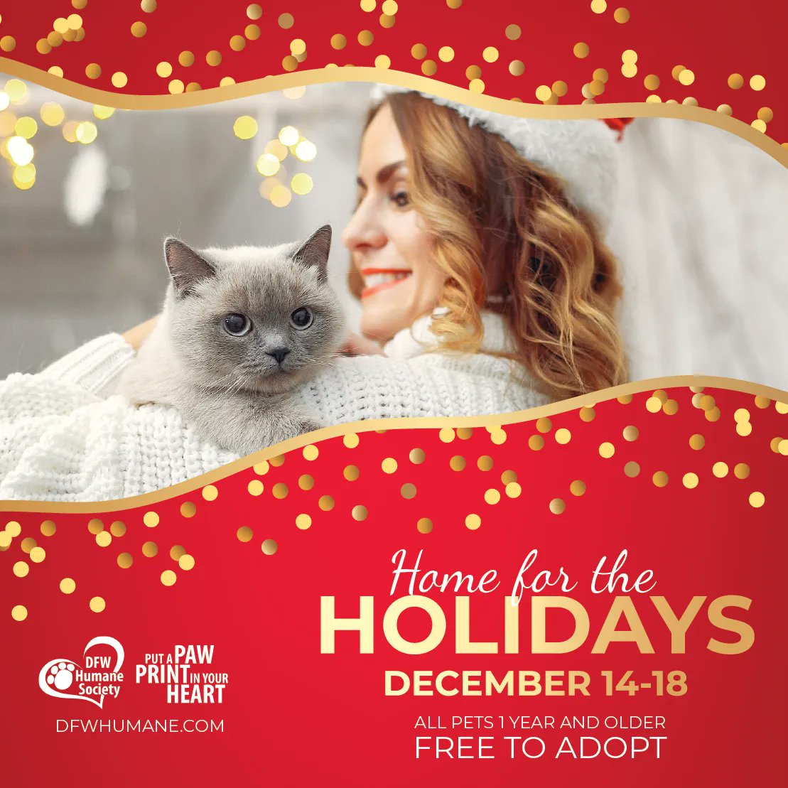 DFW Humane Society tweet media