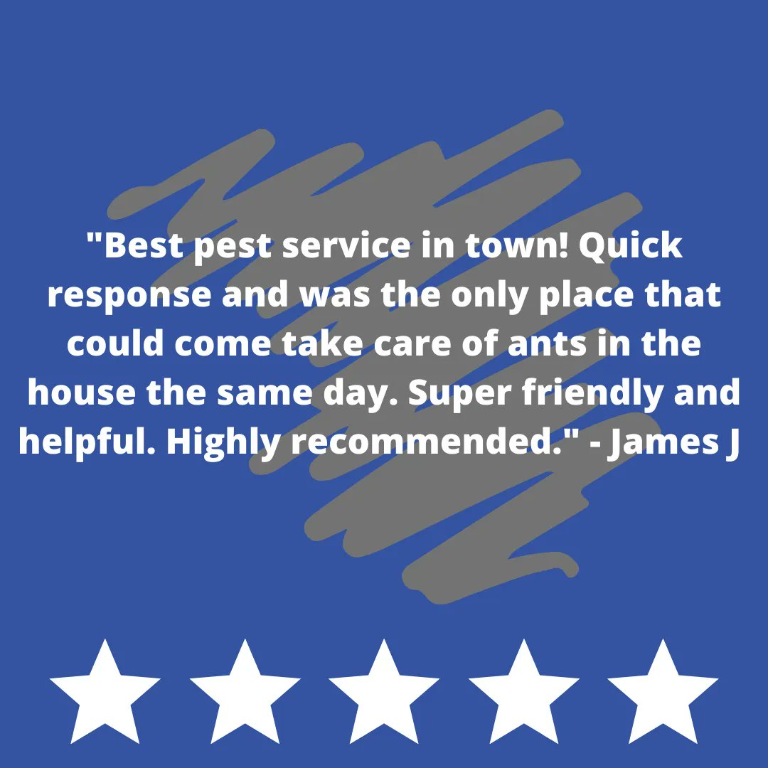 trixpest's tweet photo. Best pest service in town! Quick response and was the only place that could come take care of ants in the house the same day. Super friendly and helpful. Highly recommended. - James J https://t.co/whWXGX5dJa