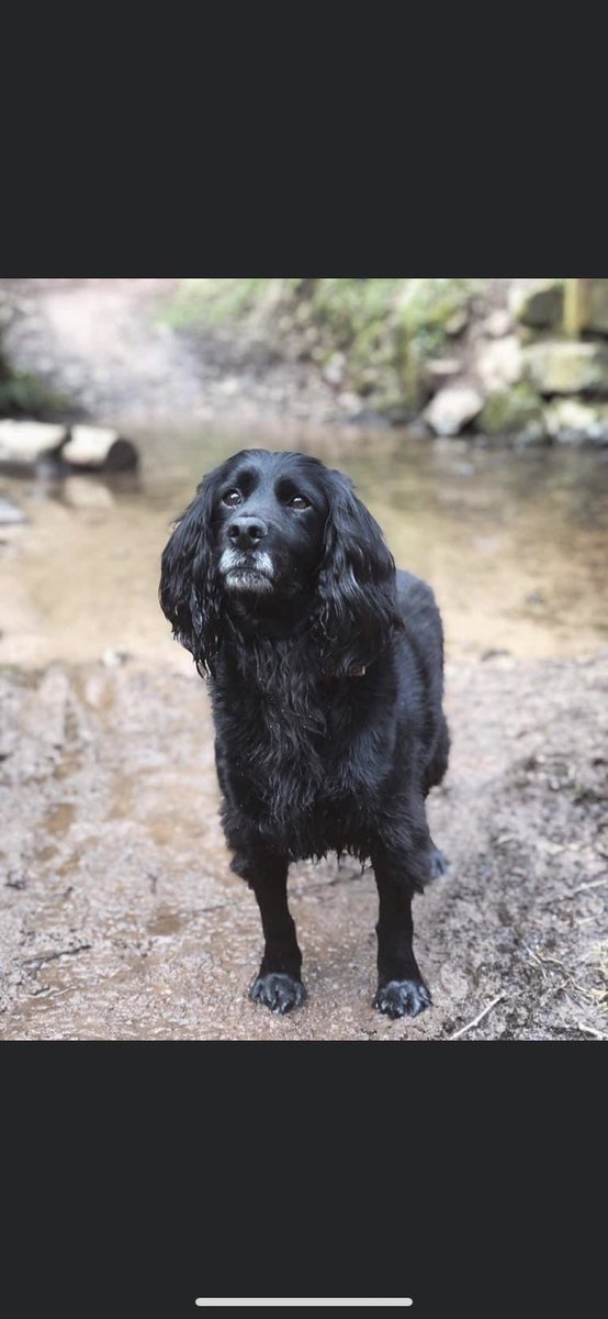 Find Scott tweet media