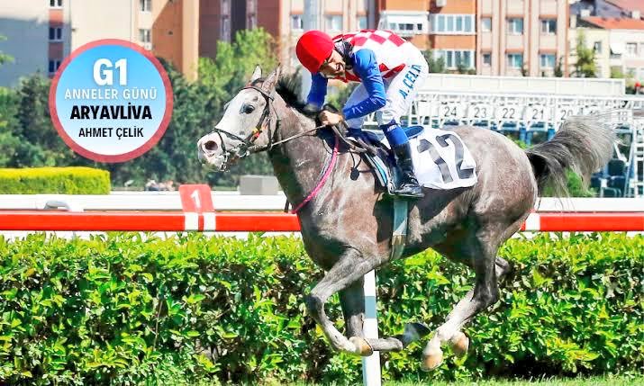 Şuraya bir BABA-KIZ bırakalım ve herkese iyi geceler dileyelim. 👋