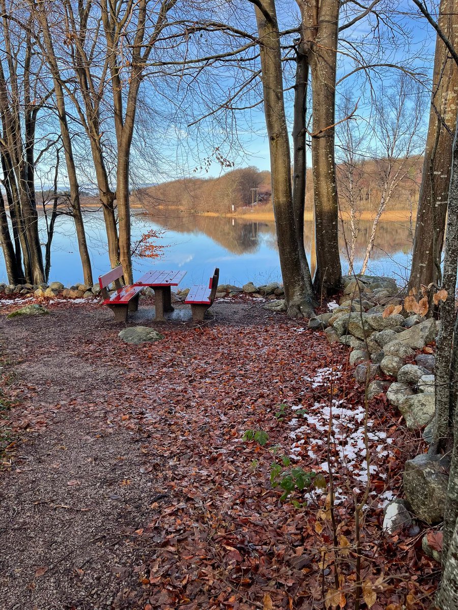 وكم من قلوب كالأشجار شامخة..
 وفيها من الاحزان مايكفيها...!! 

 كالنخل  يطرح لك رطبا جنيا...
 تقذفه بالحجر دون رحمة تبديها ...!!

والشمعة تحترق لتعطيك ضوءا..... 
 دون من يرحم دمعها ويواسيها.....!! 
.