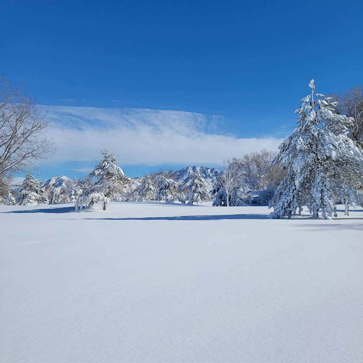 TA_Barker_CGCS's tweet photo. In the middle of @TvilleUT nothing looks more pure and beautiful than open green space after 8" of snow fell over night. #UGCSA @UtahGCSA @GCSAA https://t.co/jTOqseutFT