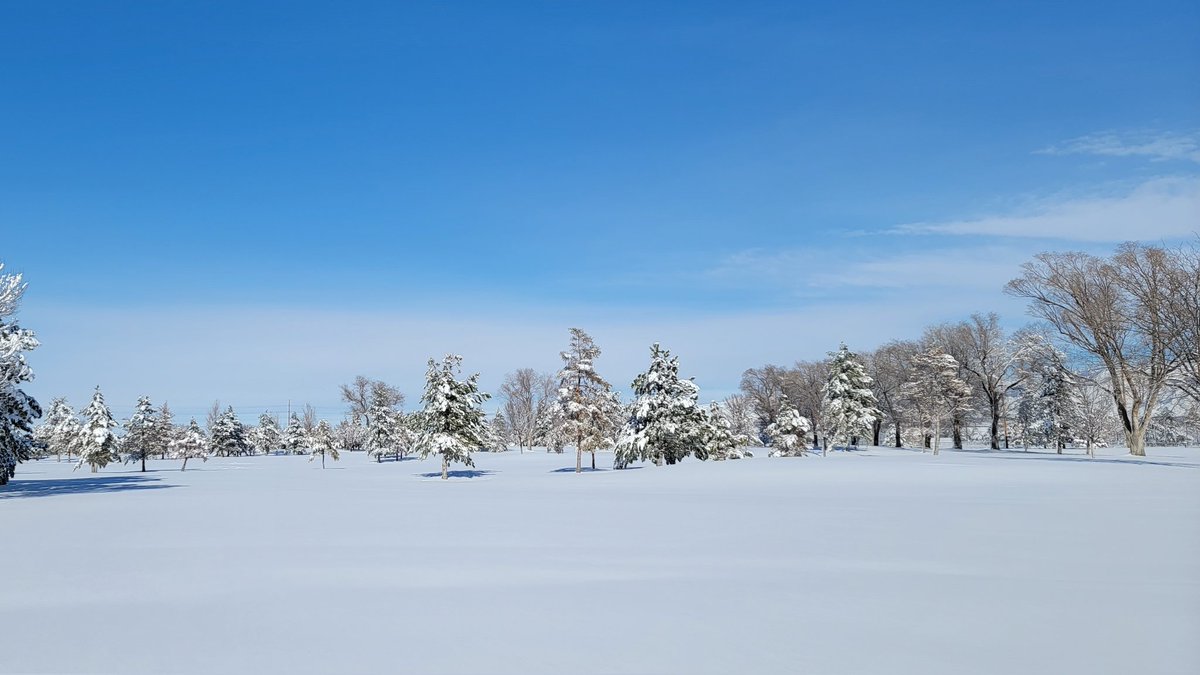 TA_Barker_CGCS's tweet photo. In the middle of @TvilleUT nothing looks more pure and beautiful than open green space after 8" of snow fell over night. #UGCSA @UtahGCSA @GCSAA https://t.co/jTOqseutFT