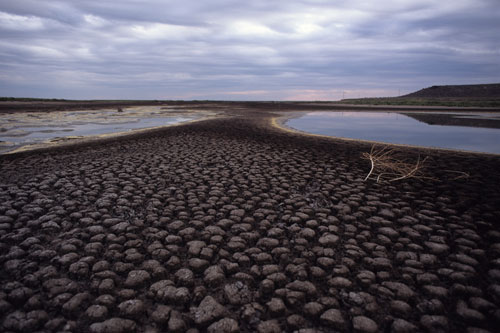 OregonStateExt's tweet photo. Are you curious about how climate change is affecting Oregon? OSU Extension has faculty experts who are available to answer questions on topics such as wildfire, water policy, marine fisheries and environmental education. https://t.co/h1D8uBOqEu #OregonClimate #drought #wildfire https://t.co/CUHvXTwb1B
