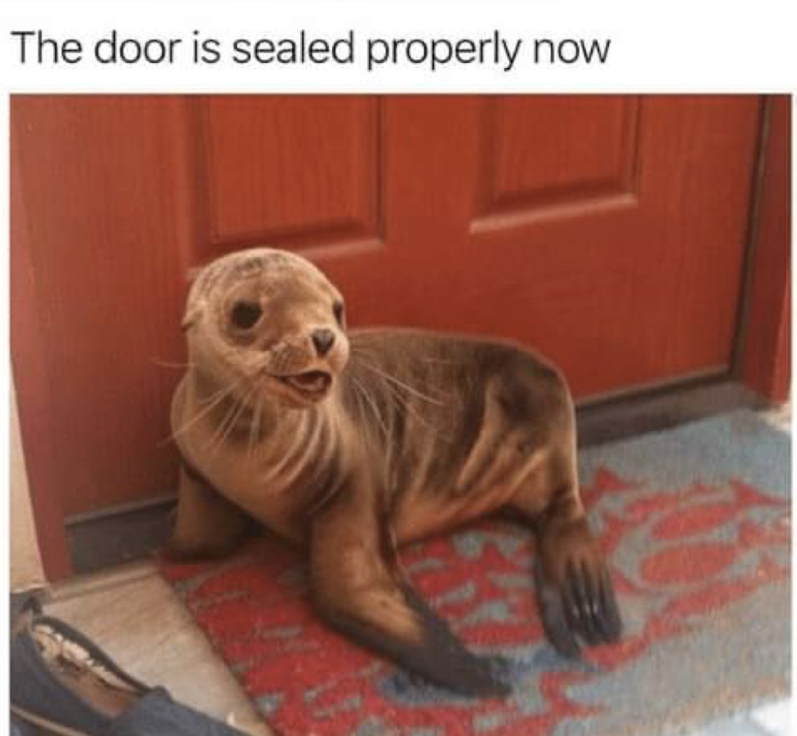 WholesomeMeme's tweet photo. https://t.co/bLZ515zvP8