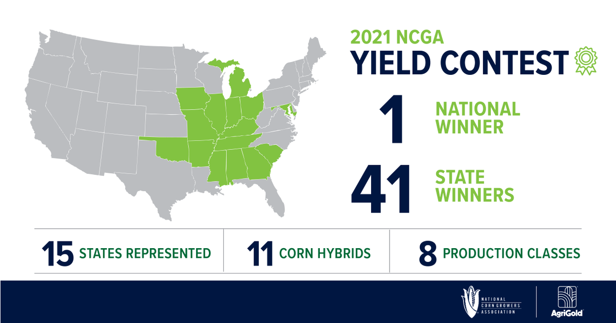AgriGold's tweet photo. Congratulations to AgriGoldโs 42 combined national & state winners in the 2021 @NationalCorn Yield Contest! #YieldMasters who chose AgriGoldโs corn hybrids won across 15 states & 8 production categories with 11 hybrids. Check out our results: https://t.co/ljmfIVpEQq https://t.co/Jcw3DgeKzQ