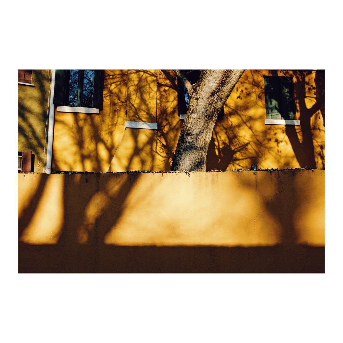 mpietropoli's tweet photo. Birds aren’t real.
/
/
/
#rovigo #italy #whatitalyis #streetphotography #archilovers #archicity #contemporarycities #fujifilm #fujix100 https://t.co/xTKAL6cHZy