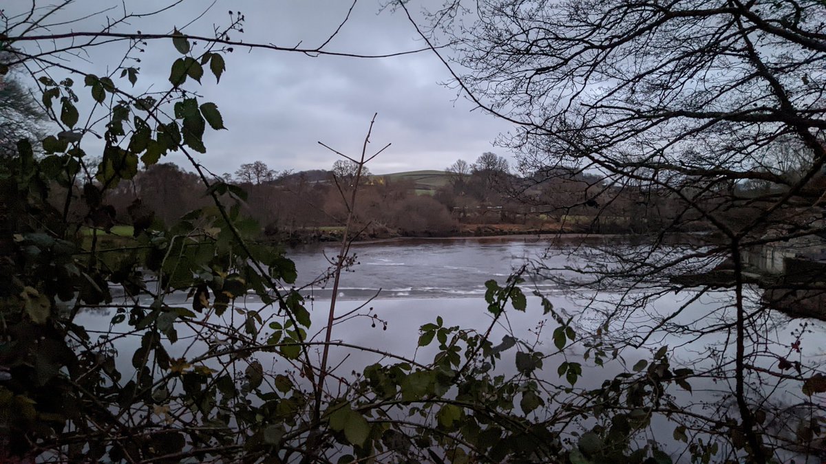 KatharineBDevon's tweet photo. A dark old morning walk from yesterday
#DevonHour.
Is it just me or is each day this week feeling like a week in itself?
Maybe I'm experiencing #EinsteinTime! https://t.co/9vYfpxSjB6