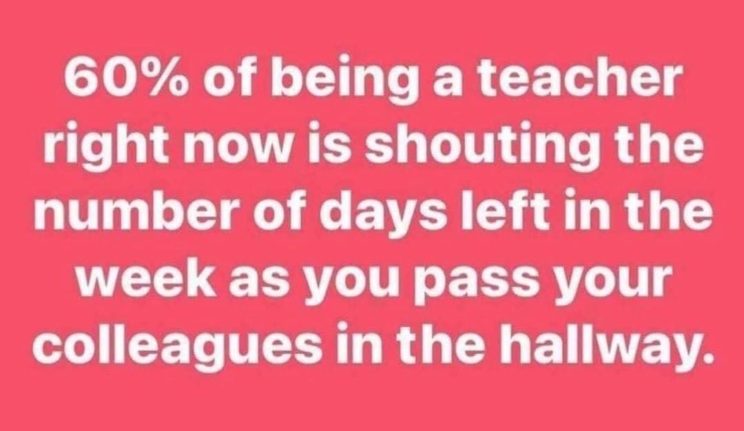 MissC_1717's tweet image. Seen.