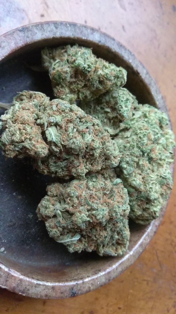 HAPPY WEDNESDAY EVERYONE!!! 💨💨 TIME!!! ✌️