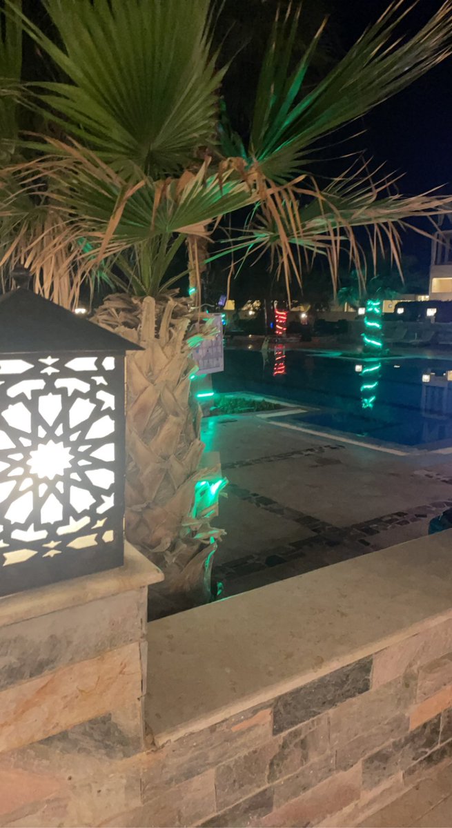 _karimsaeed's tweet photo. Je vous fait un petit coucou d’Égypte, je pense a vous bisou #demainnousappartient https://t.co/eWZW6dzwYf