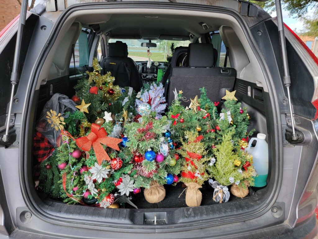 dataedwhite's tweet photo. 30+ tiny trees and DOZENS of student created cards headed to Guiding Light Hospice. #DATAdoes #theDATAway #DATAfam #RootEdDATA #BiggerThanYourself @NEISD @RootEdSA https://t.co/YFMbhFzQ1f
