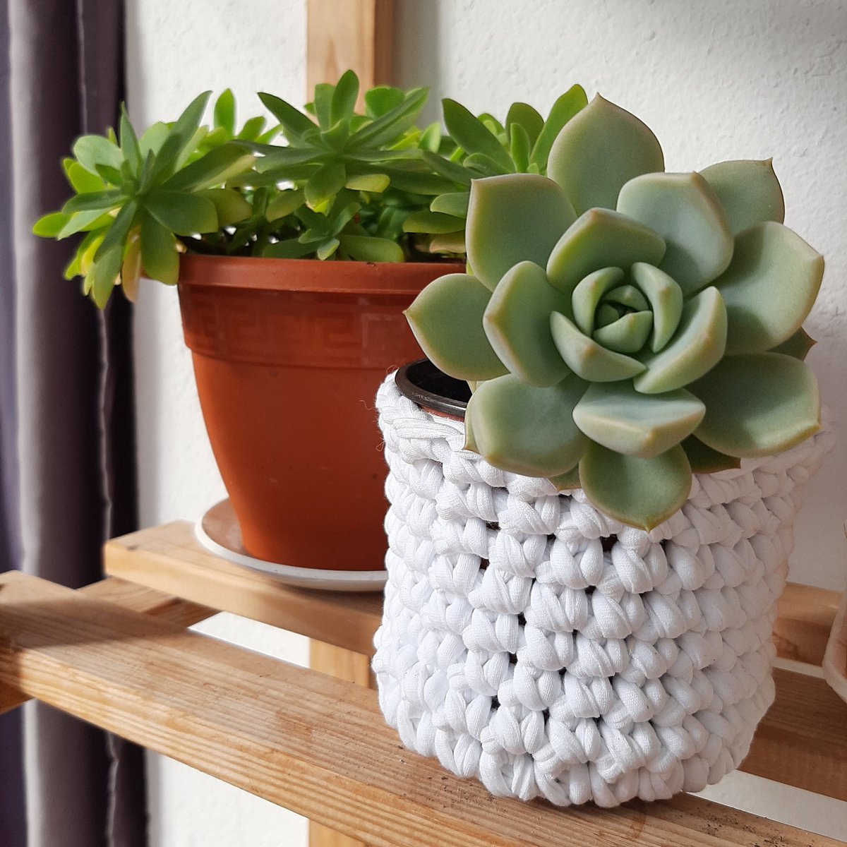 isa2desa's tweet photo. Mi sucu ❤️

#crochet #suculentas #trapillo #macetas #plantas https://t.co/uNTMeJsEiu