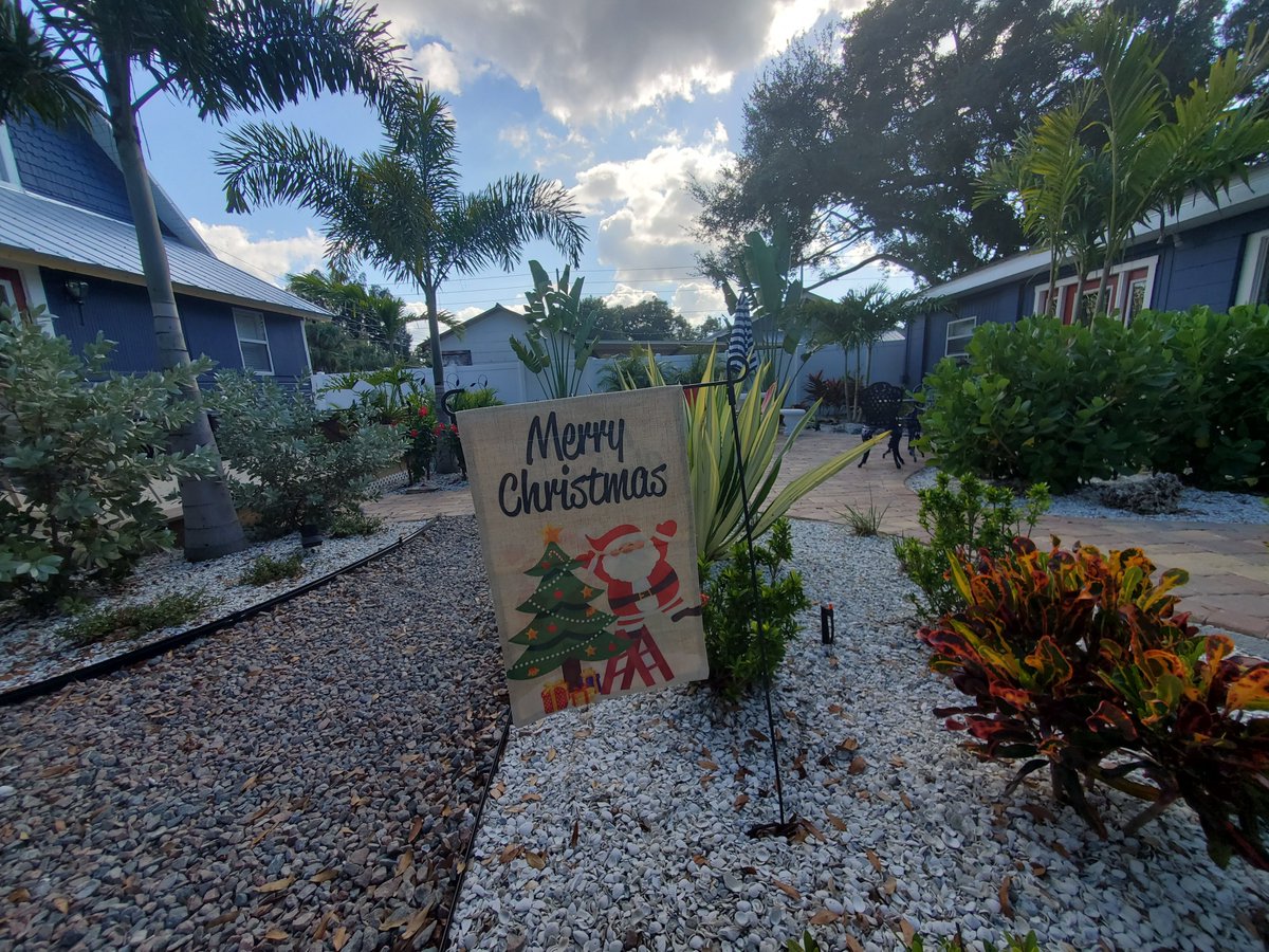 VacaNatureCoast's tweet photo. Merry Christmas from #TarponSprings https://t.co/NkZaYWqihW