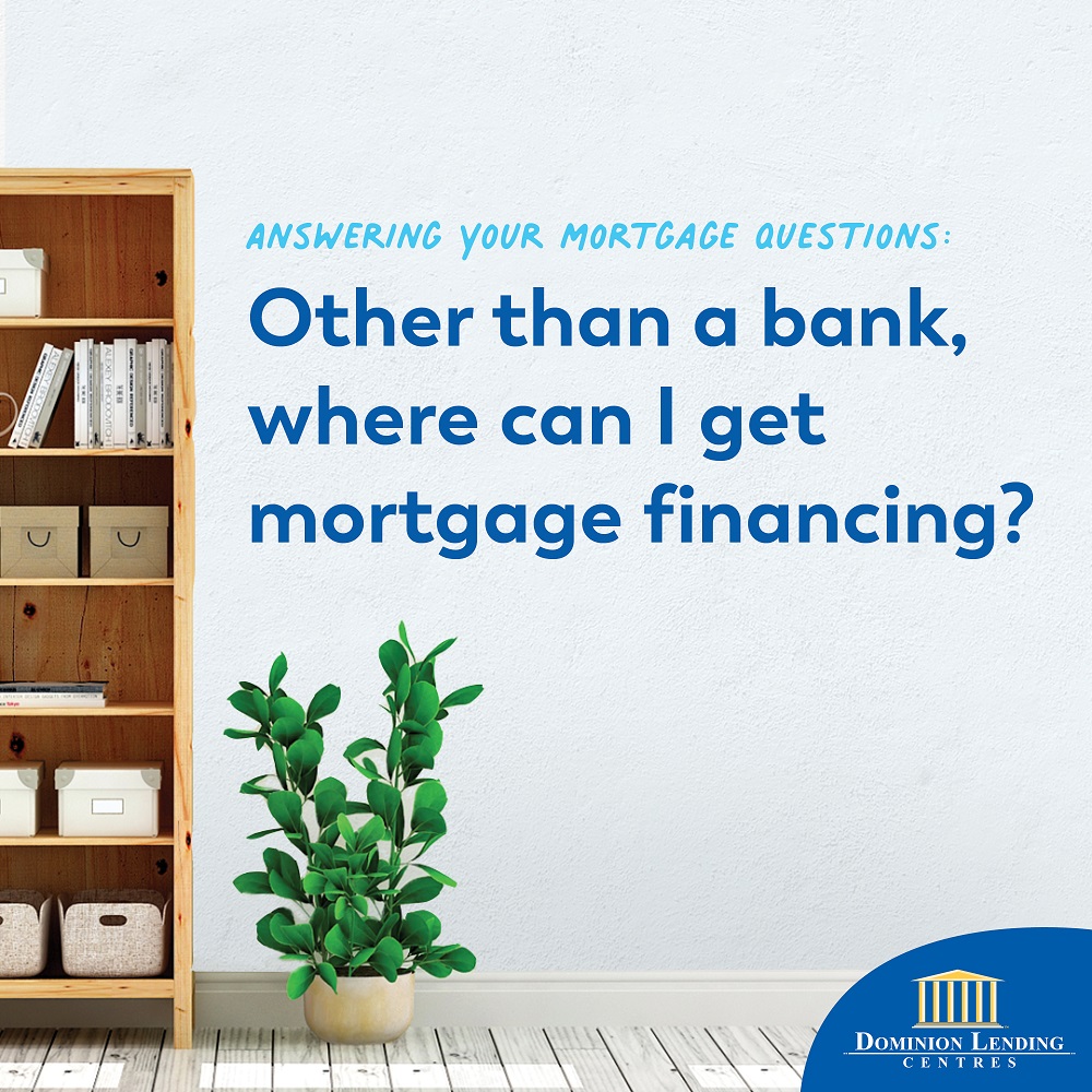 DLCCanadaInc's tweet photo. Great question! We work with Monoline lenders who specialize in a single type of financial service. These types of lenders do not have branches but can be accessed through your DLC Mortgage Professional. #mortgagefaqs #canadasleadingmortgagecompany #mortgages #roadtohomeownership https://t.co/MYehY1WzMI