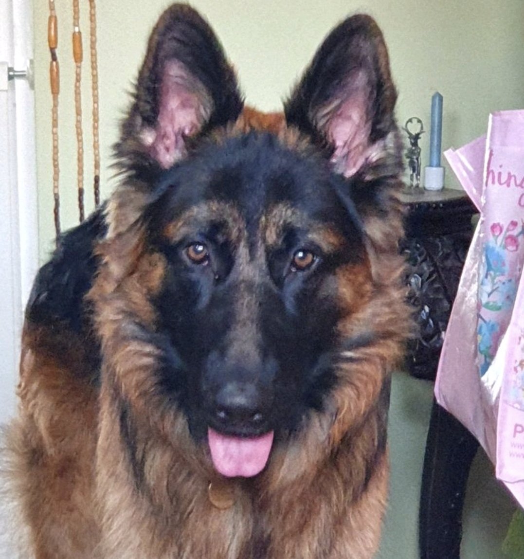Look at that face!