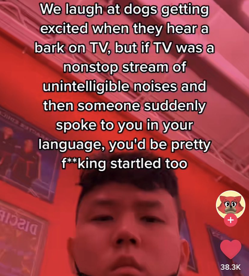 WholesomeMeme's tweet image. 