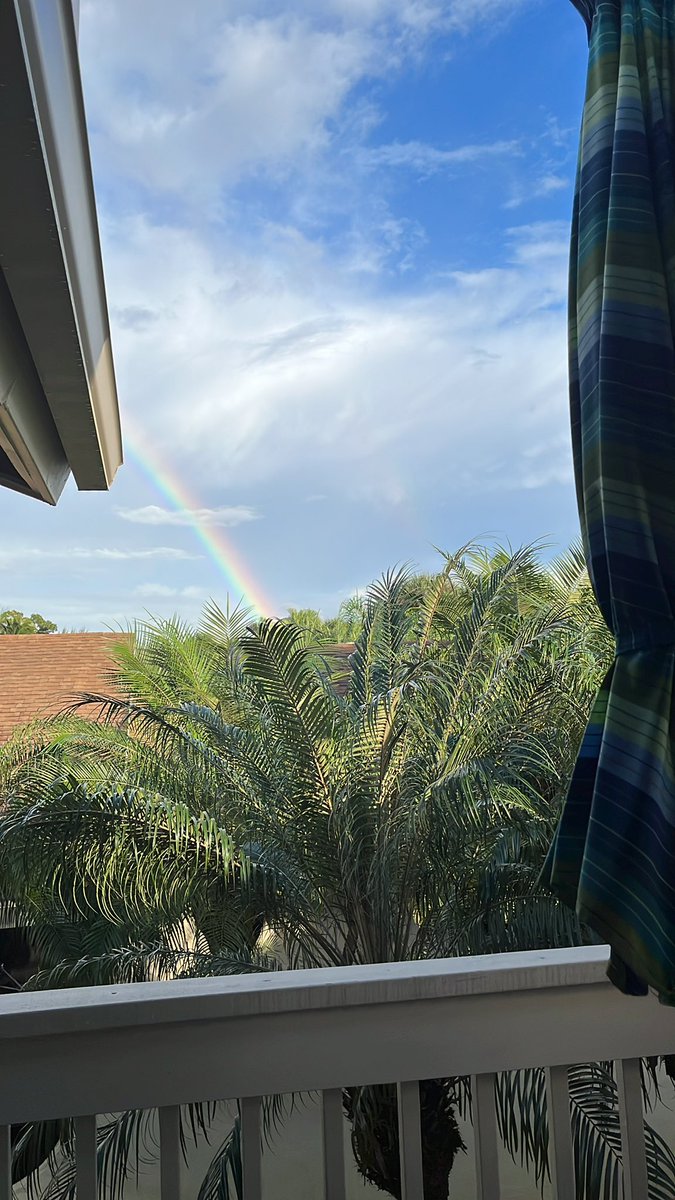 ComberWilen's tweet photo. Visiting home is a painful reminder of the alternation between 5 minutes of torrential downpour versus the 5 minutes of beautiful skies βοΈπ¦ #solfo https://t.co/ThmGjneXHr