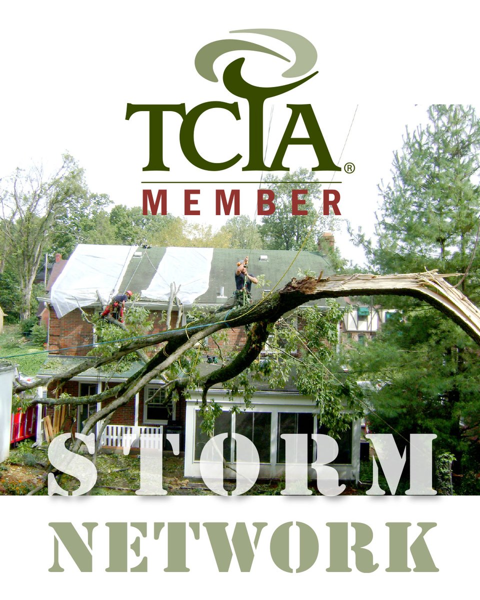 Looking for help? Check out the Storm Network.
Looking to help? Sign up at member.tcia.org/storm-network today! 

Find a large list of companies to help coordinate efforts in the wake of storm emergencies.

#tcia #treecareindustry #treecarebiz #arbnation #weloveourmebers
