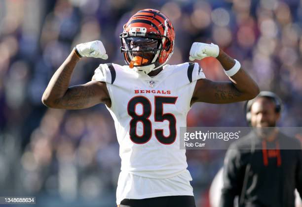 Bengal Jim & Friends tweet media