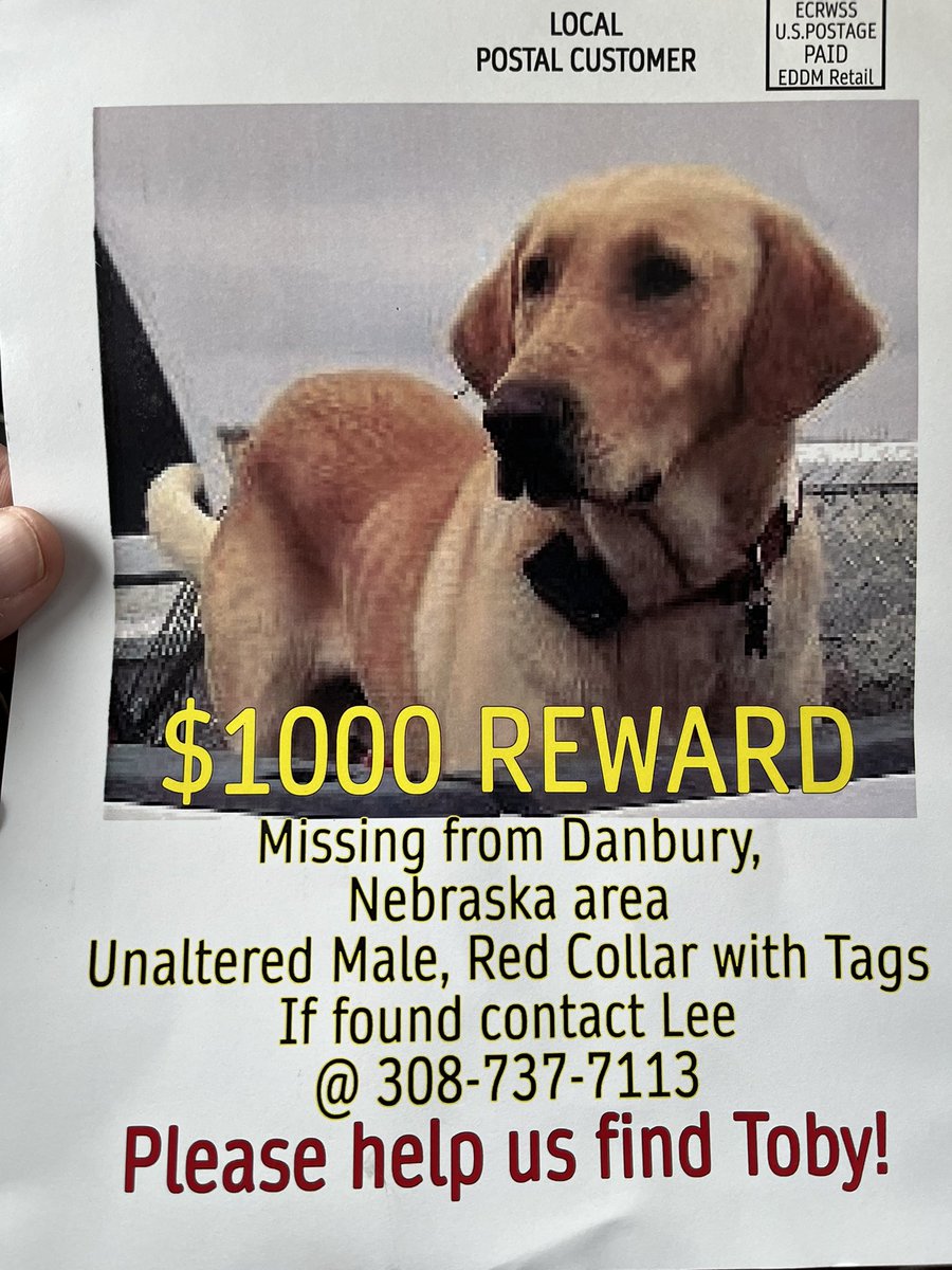 jamesblonde67's tweet photo. Please help find Toby https://t.co/9R0hFj1WPg