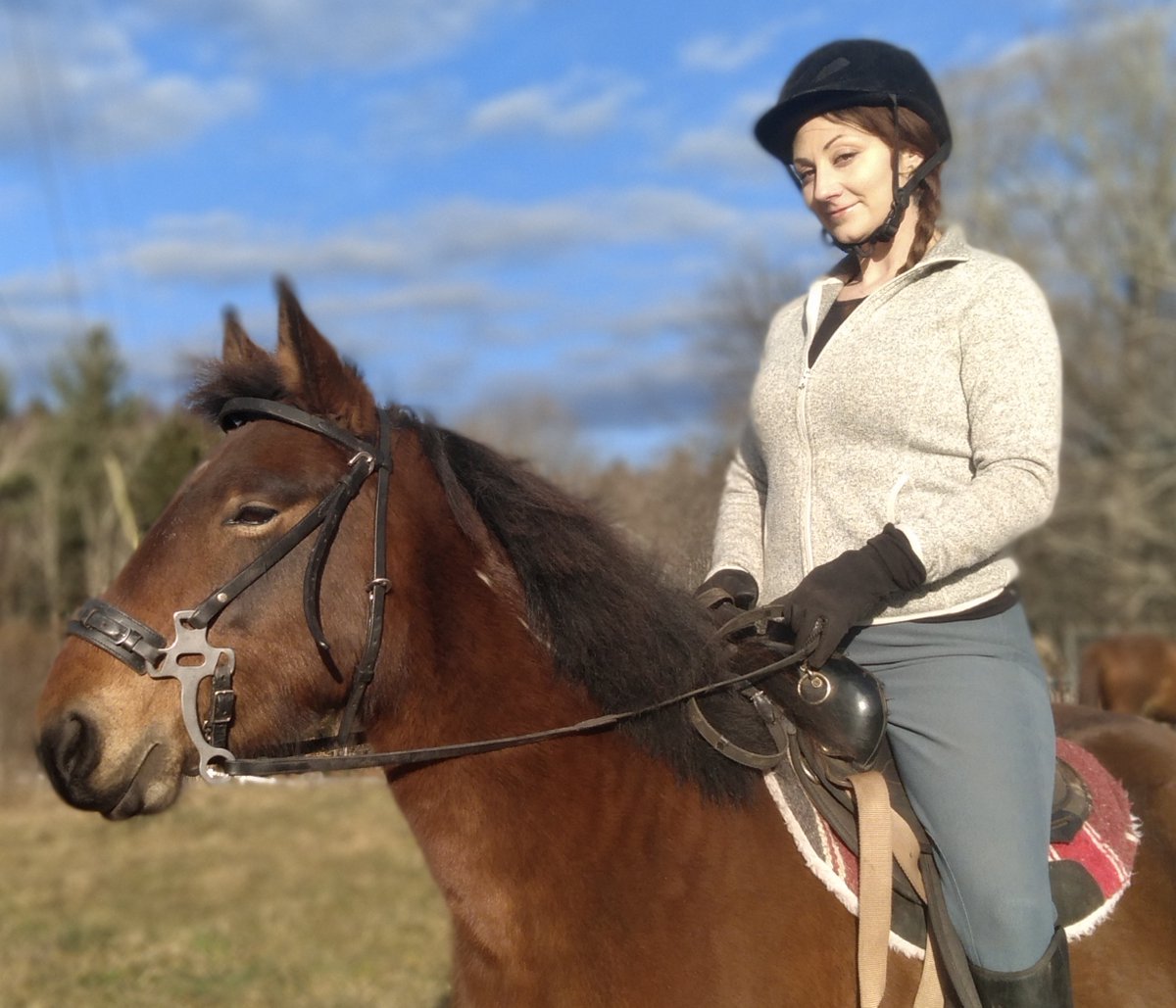 CaraJJaye's tweet photo. #Mustang #mystang
My wild-born girl is better behaved than my Quarter Horse...it's amazing how receptive, observant, and inquisitive she is.
She grew a winter chunky face :)
MMH Azrael <3π₯°π₯°π₯°π₯°
#equestrianlife
#horsemom https://t.co/cV0VYQ9bhH