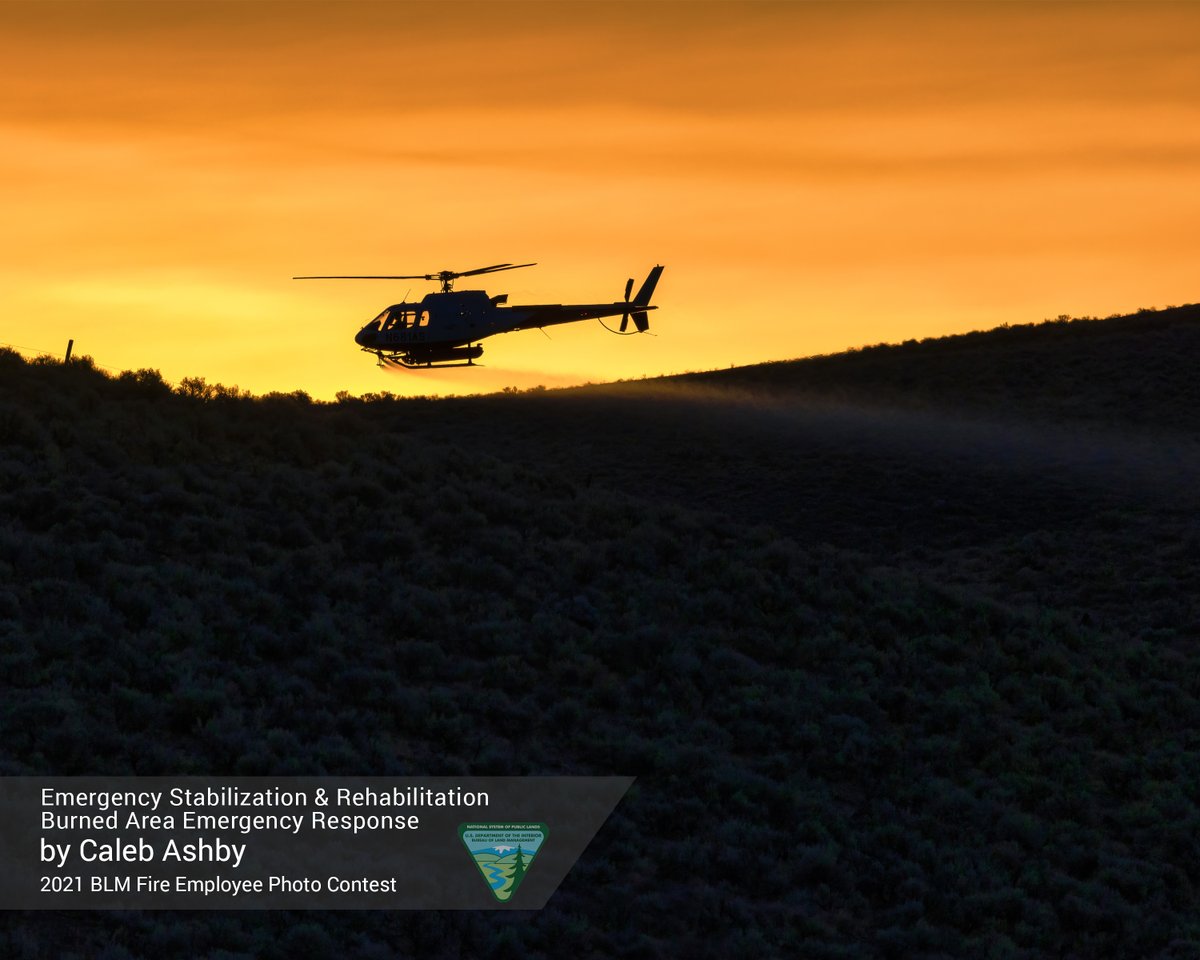 BLMFire's tweet photo. On the 3rd day of our #12DaysofEmployeePhotography, we spotlight Caleb Ashby for his photo of a helicopter spraying herbicide after the #JordanFire during #FireYear2021. Caleb's photo was the winning photo for the ESR/BAER category. More great photos to come! #HappyHolidays https://t.co/d5jbK89h53