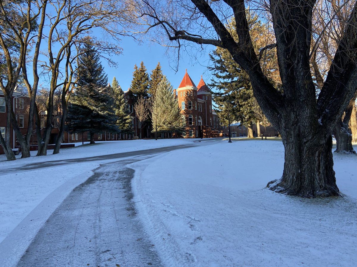 NAUAlumni's tweet photo. Campus feels a bit empty with @NAU students gone for winter break ❄️

#CampusViews https://t.co/w732rpA3HF