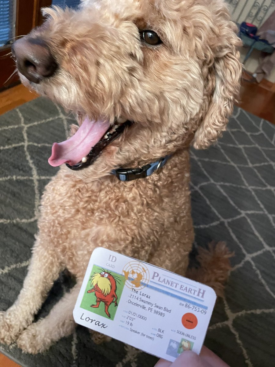 this is my dog , and he is a k-strategist because he was born with a couple other offspring and cared for by his mother for a bit <a href="/franklinlorax/">APES Project Lorax</a> #apesecology