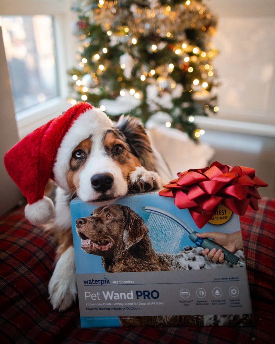 WaterpikPets's tweet photo. When you give your parents the perfect gift, but secretly hope they don't use it on you. #PetWandPro https://t.co/VzzZnJyBgt