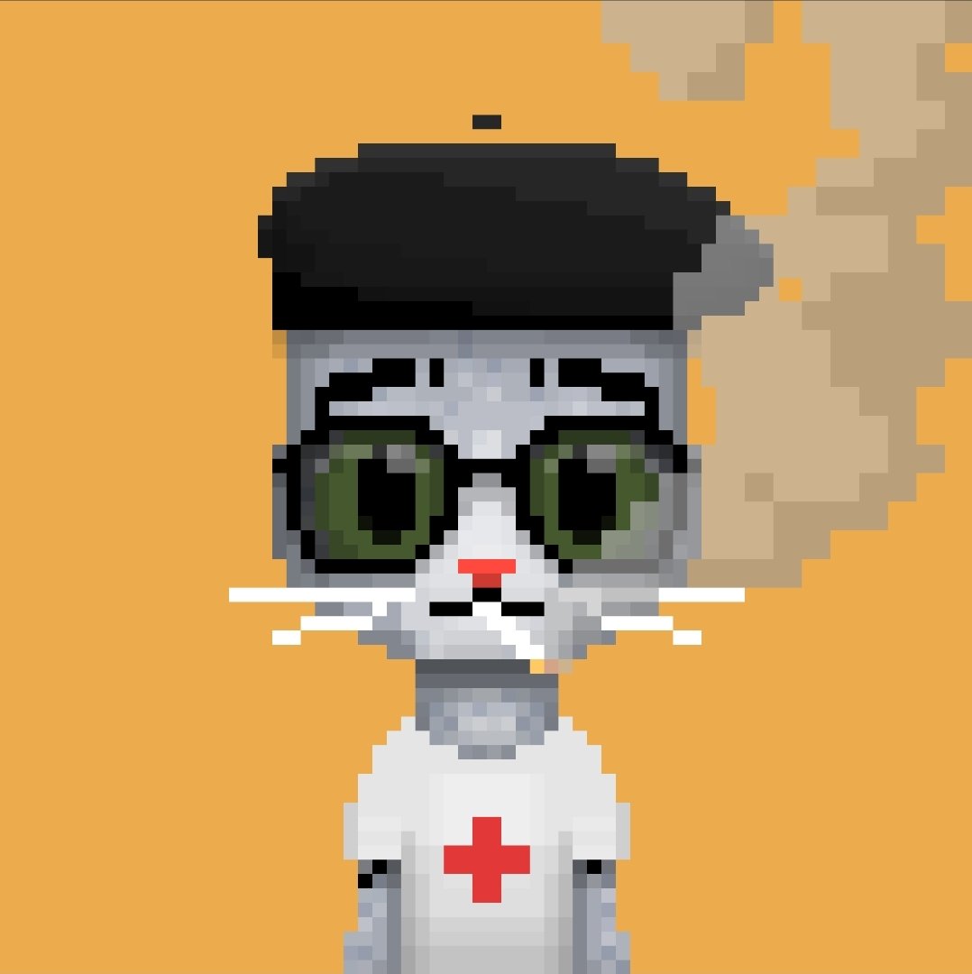 RoosterMonster's tweet photo. @kittizens_nft Someone call for a medic 🏥 https://t.co/g97phKkoSP