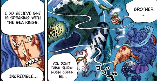 One Piece Possible 8 Powers Monkey D Dragon Could Possess