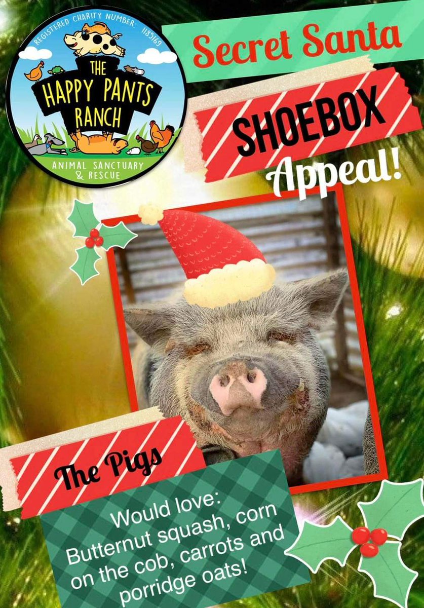 🎄 It’s No 9 of The Ranch Secret Santa Shoebox appeal and today the pigs are showing you what’s on their Christmas list! 🎄