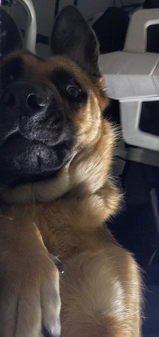 enjoy her many faces, she is two today 🥺 happy birthday https://t.co/8vjAga0t30