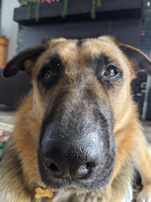 enjoy her many faces, she is two today 🥺 happy birthday https://t.co/8vjAga0t30