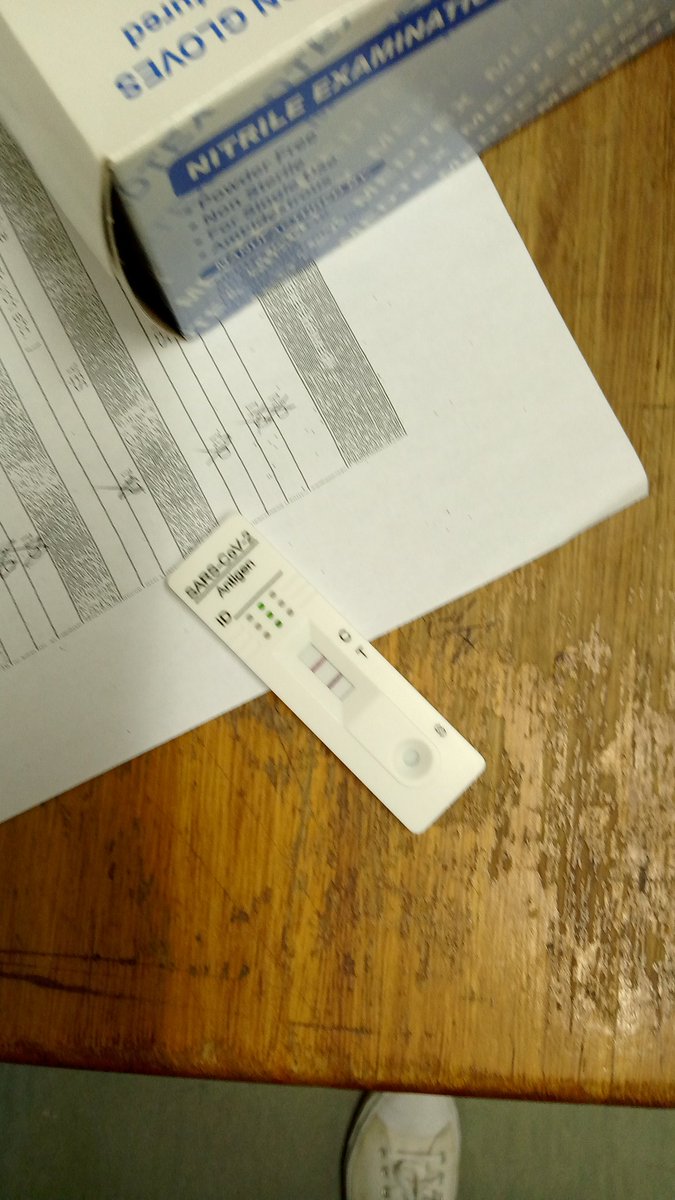 Rapid COVID 19 results, my December is finished