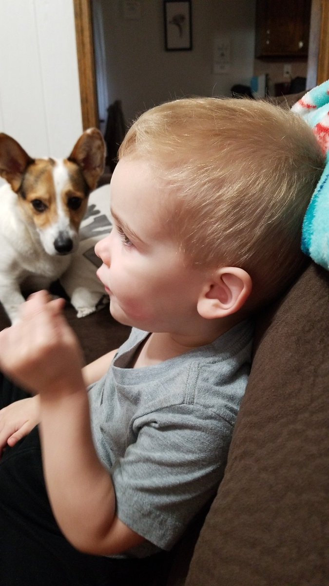 MoeTechWsbg's tweet photo. @MSTA @rsmithson99 
This will be my holiday break! Hanging out with the grandkids! https://t.co/QWXa3lKDpq
