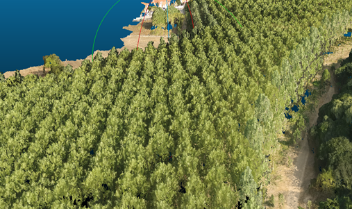 dronesfp's tweet photo. BASOAREN HEGOAK: Proyecto de @tknika. Después de la toma de datos con el dron, hemos obtenido la nube de puntos con la cual hemos conseguido delinear la copa de cada árbol y estimar la superficie que ocupa sobre el terreno y su altura. 👌 https://t.co/652FOhpBIA