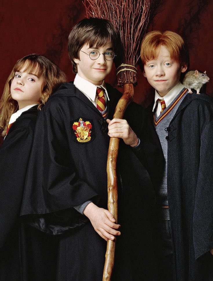 harry potter la reunion