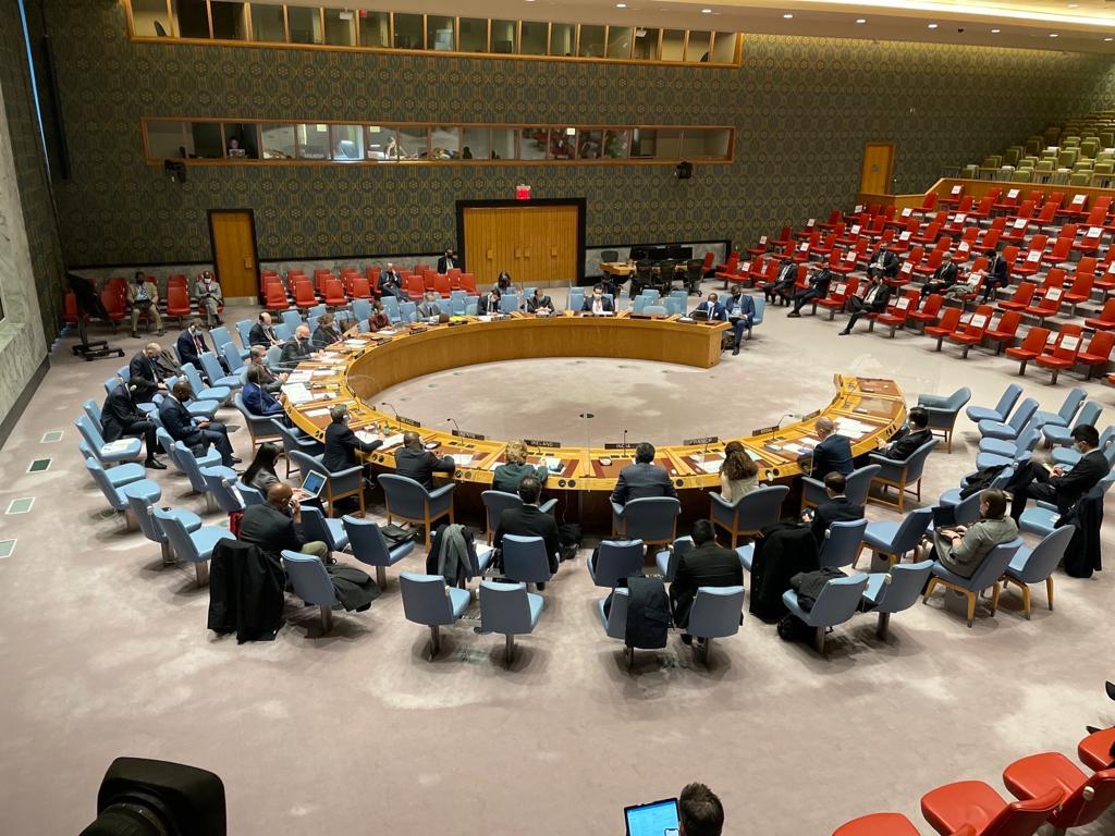 LouncenyFall's tweet photo. I drew the attention of the UN #SecurityCouncil to the adverse effects of climate change on security in Central Africa and called for international support to ongoing regional efforts to tackle the issue. https://t.co/tO8ho3Abal