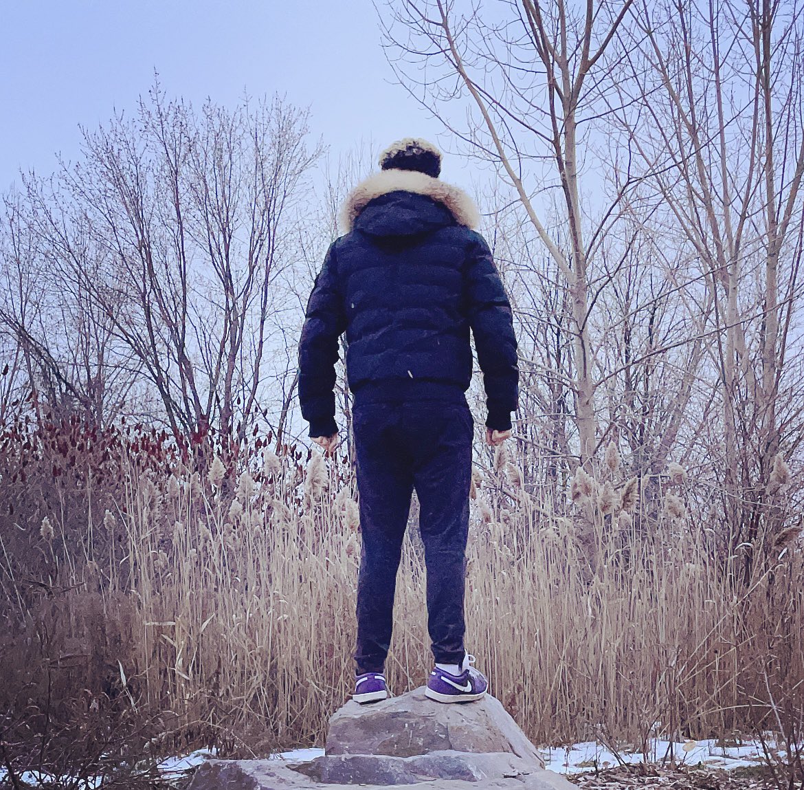 GamesCage_'s tweet photo. I FOUND THE “ROCK TO STAND ON FOR LOOKING INTO THE DISTANCE TO REFERENCE BOTW” https://t.co/KT4hZrmVEQ