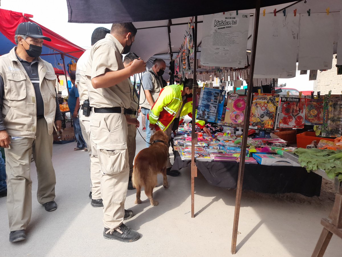 UMPCyBZ's tweet photo. Es crucial el apoyo de un Oficial y de las perras #Akira y #Kodda, que pertenecen a la #UnidadCanina que se especializan en la detección de pólvora.
Muchas veces los productos los esconden en bolsas o cajas que no están a la vista, y es ahí cuando ellas dos entran en acción. https://t.co/QWpPJFwJ3R