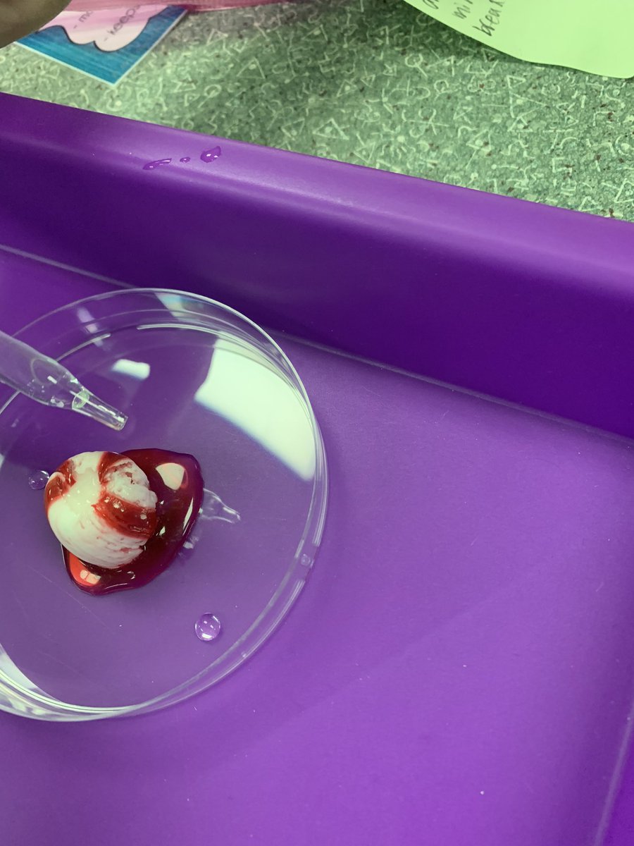 Weathering peppermints. <a href="/KISD_Science/">Keller ISD Science</a> #KISDLabStar