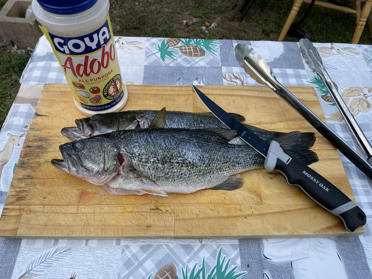 PescaLife tweet picture