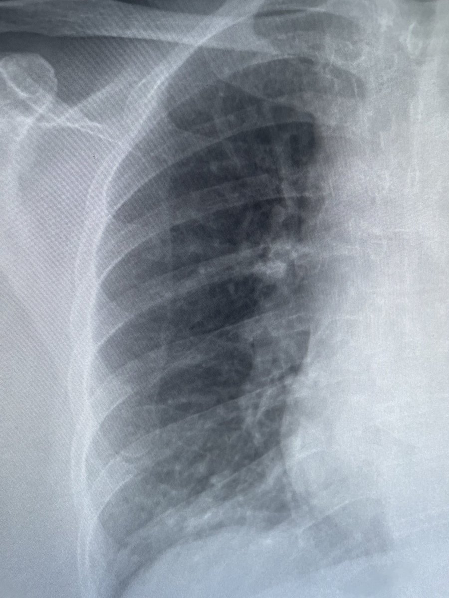 (((Howard Forman))) tweet media