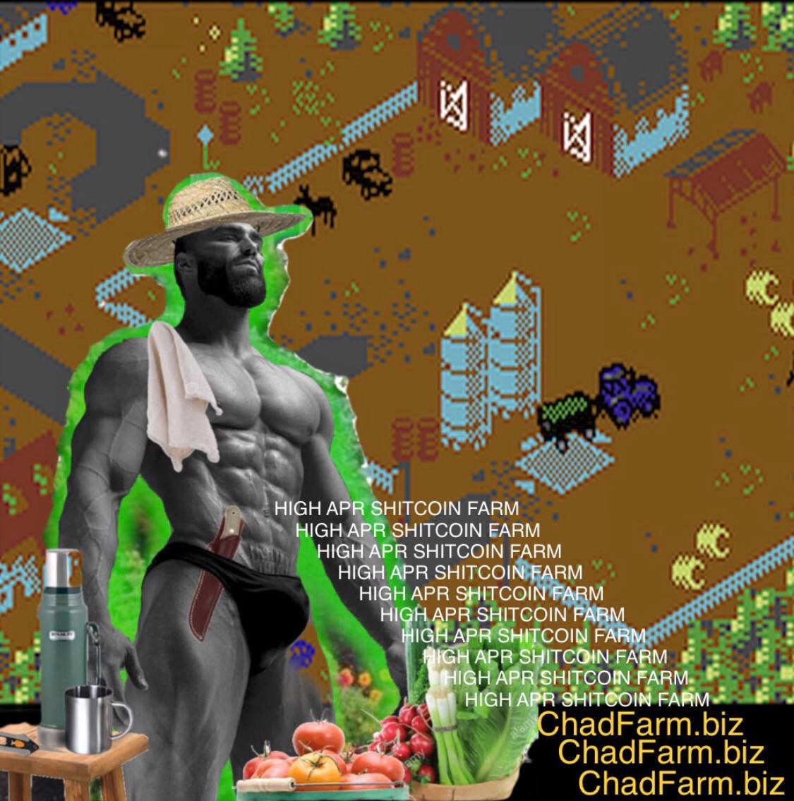 CryptoShill3000's tweet photo. https://t.co/ZFEj8xtXGh
#chadfarm #defi https://t.co/9pthrWEjC8