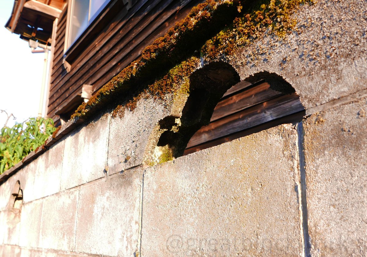 greatblockwork's tweet photo. 山梨で見るこの形の合わせ抜きはなぜか飛び地のように石川から福井にかけても広がっています　どのような繋がりがあるのか気になります(福井/福井/石川/石川)
 #ブロック塀 #透かしブロック #穴あきブロック #breezeblock https://t.co/IhDuzAj1kl